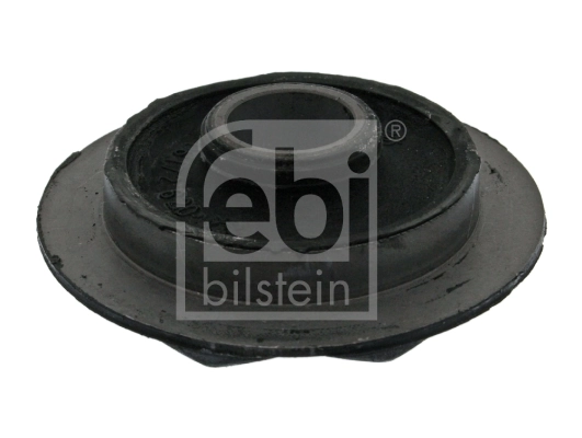 Mounting, control/trailing arm